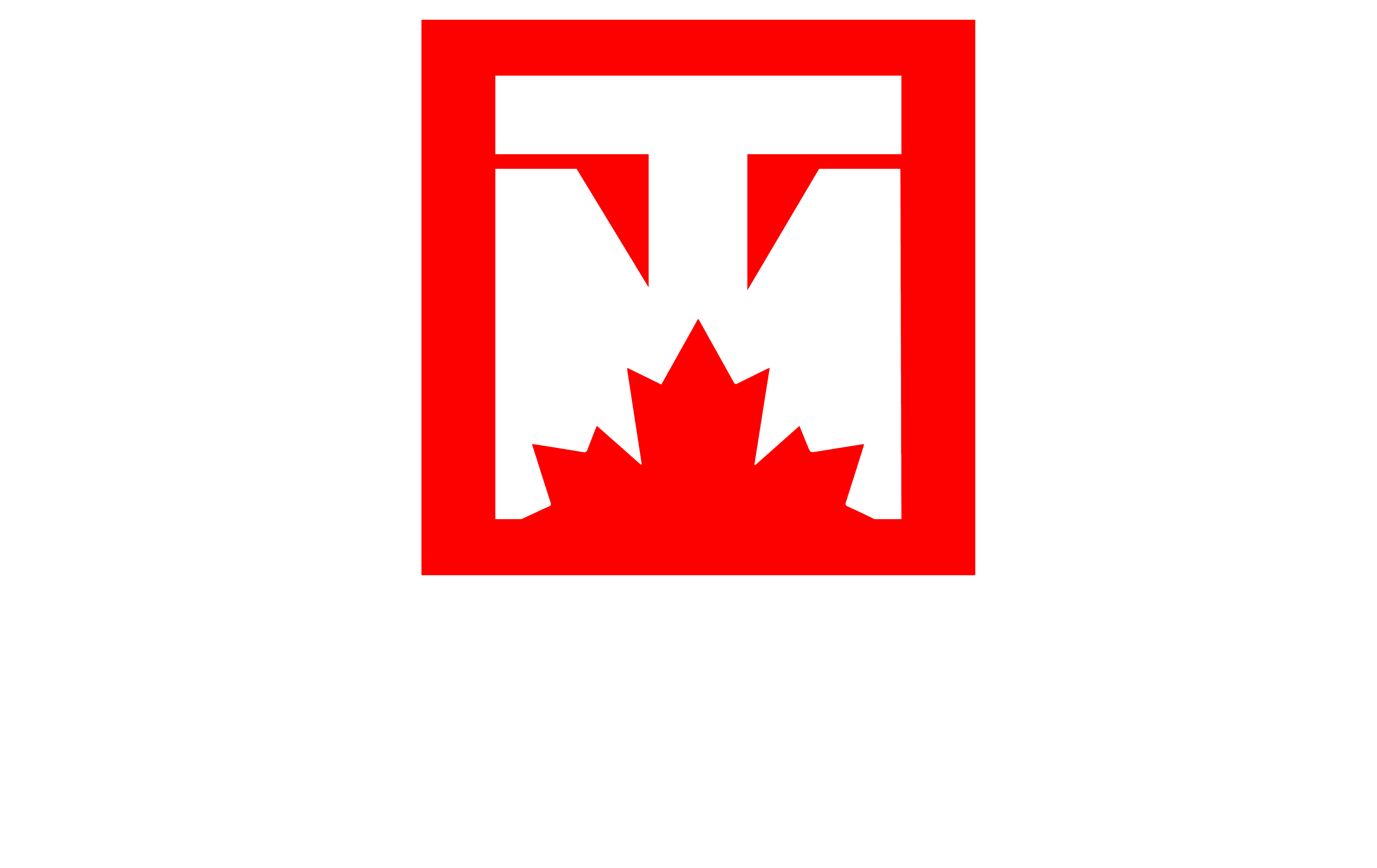 Teng Media logo