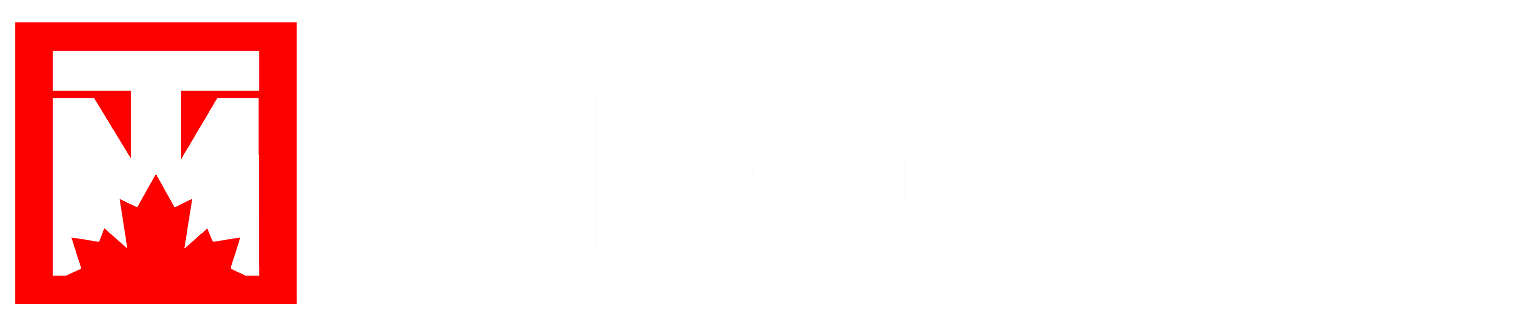 Teng Media logo