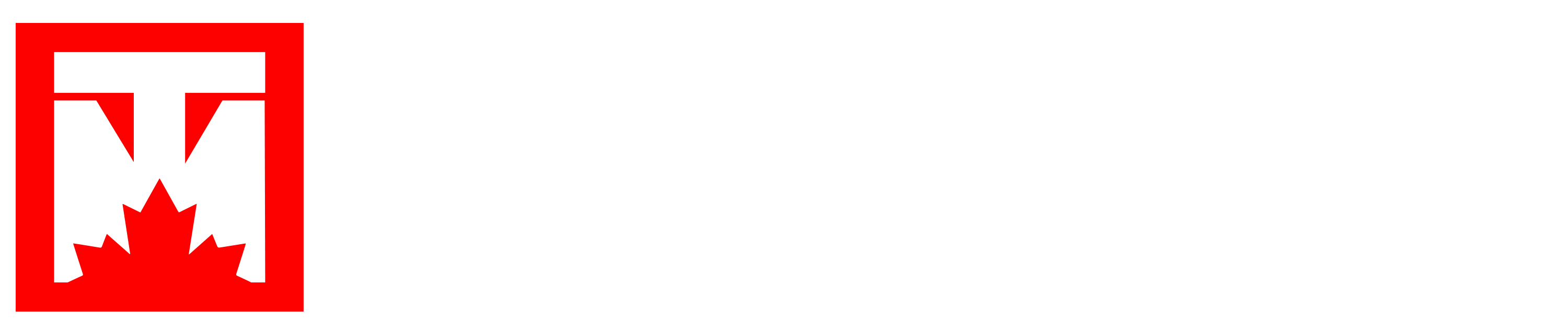 TENG MEDIA